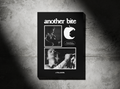 DROP 001: ANOTHER BITE PHOTO BOOK [PRE-ORDER]